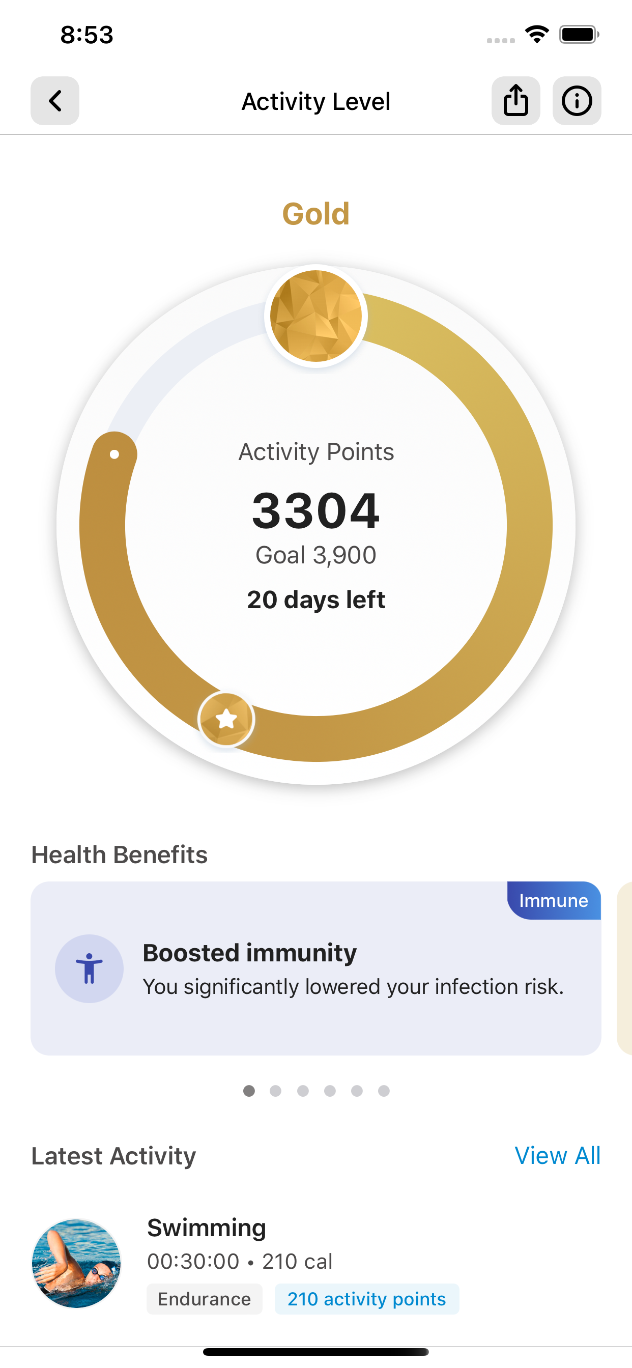 Step Year: Pedometer