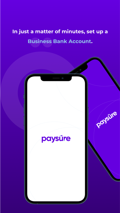 Paysure Agency Screenshot