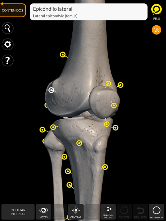 Esqueleto Anatomía 3D iPad screenshot 5