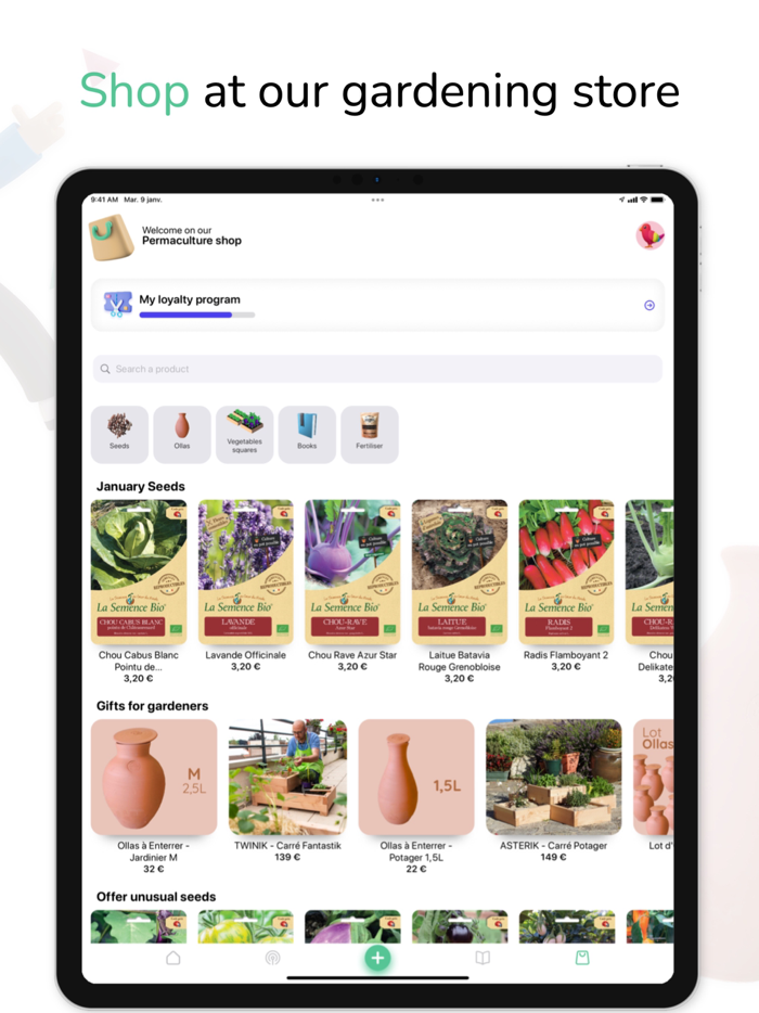 Tomate and Basilic- Permaculture