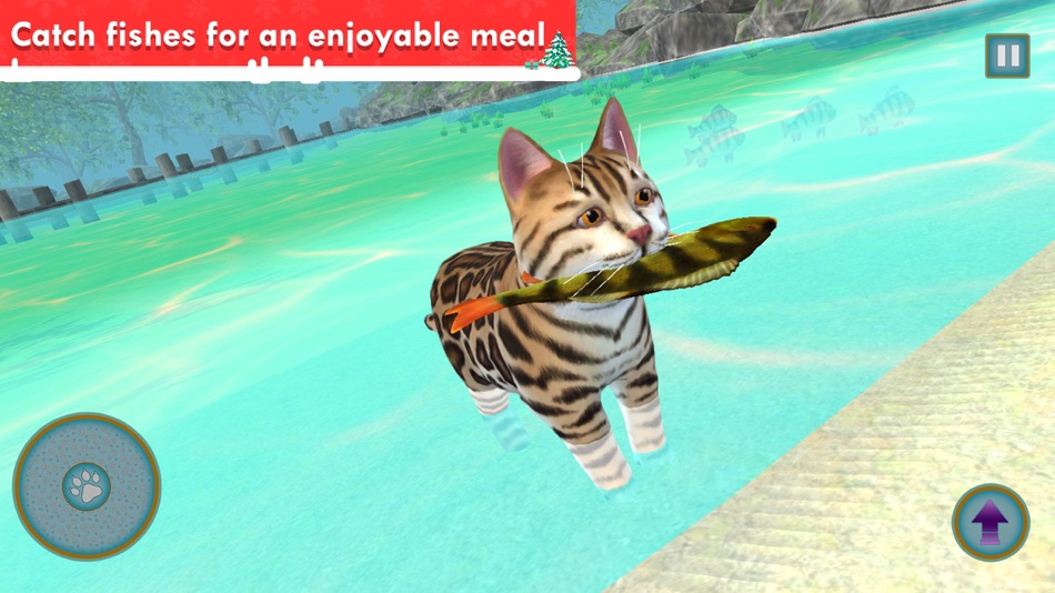 #3. My Cat: Virtual Cat Simulator (iOS) Podle: Muhammad Shahbaz