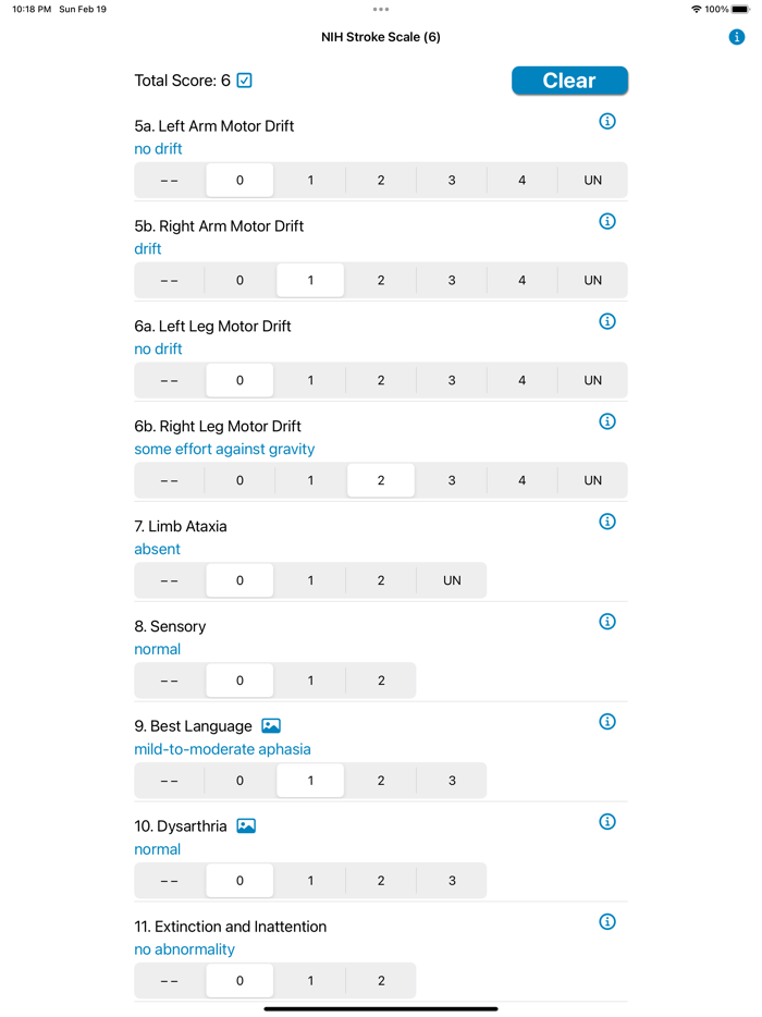 NIH Stroke Scale Calculator