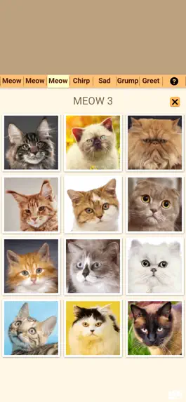 Game screenshot Cat Kitten Meow Sound Board apk