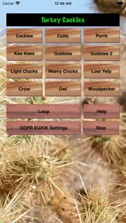 turkey hen-tom hunting calls iphone screenshot 2