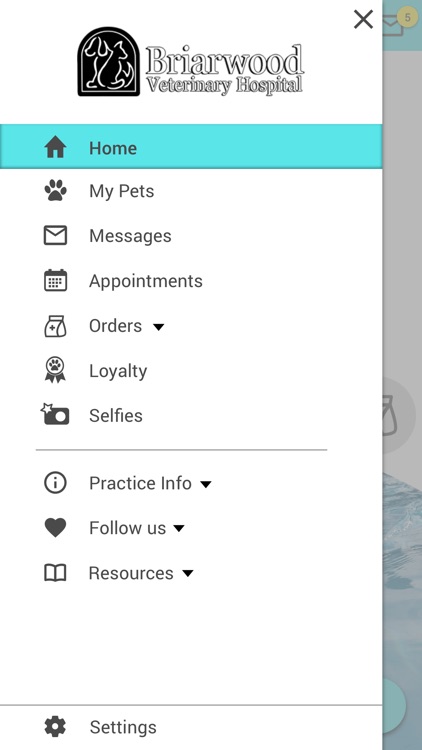 Briarwood Vet screenshot-4
