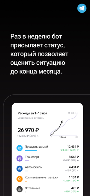 ‎Дзен-мани: учет расходов Screenshot