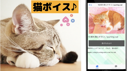 猫の鳴き声 猫からの応援メッセージ付きのおすすめ画像3