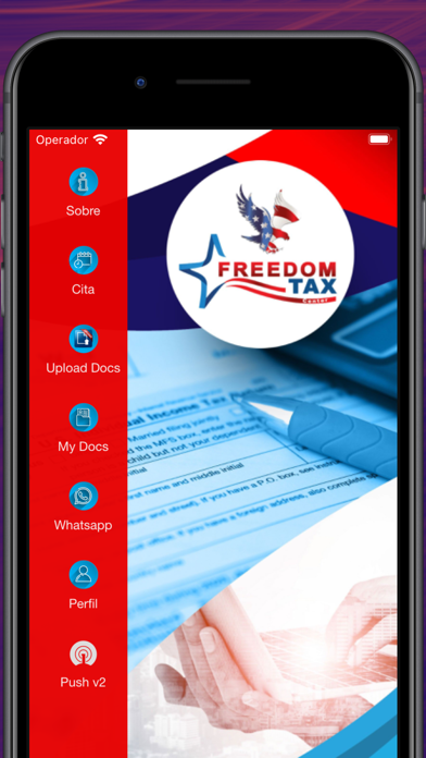Freedom Income Tax Screenshot
