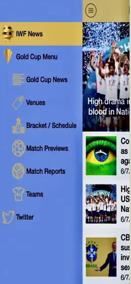 Game screenshot insideworldfootball mod apk