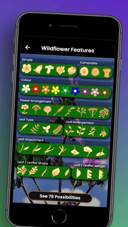 #4. Browse Poster (iOS) 由: Dan Madsen