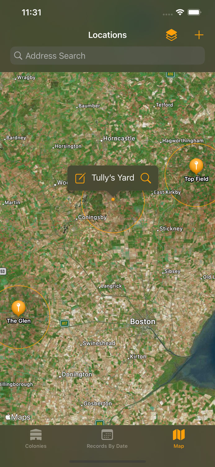 Bee Beekeeping Assistant