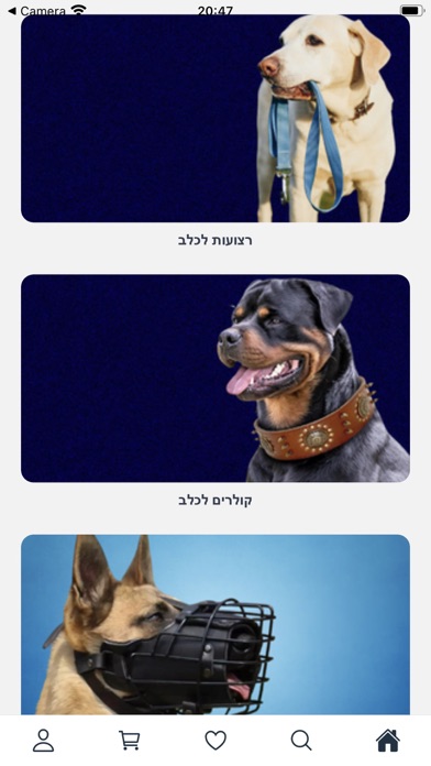 4Dog Screenshot