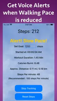 brisk walking tracker iphone screenshot 3