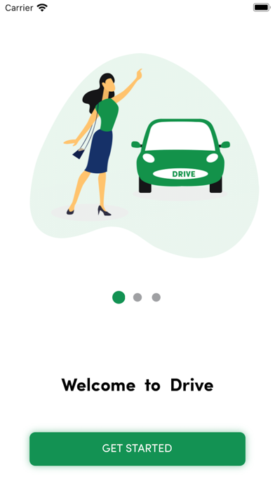 Drive Driver. Screenshot