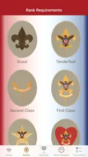 path to eagle scout problems & solutions and troubleshooting guide - 4