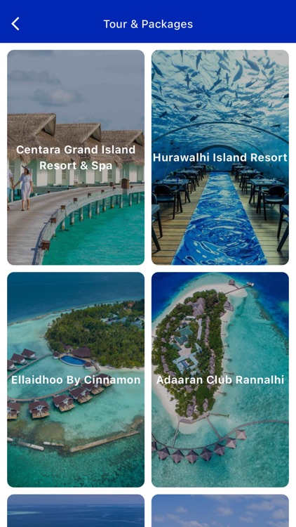 Total Holiday Options