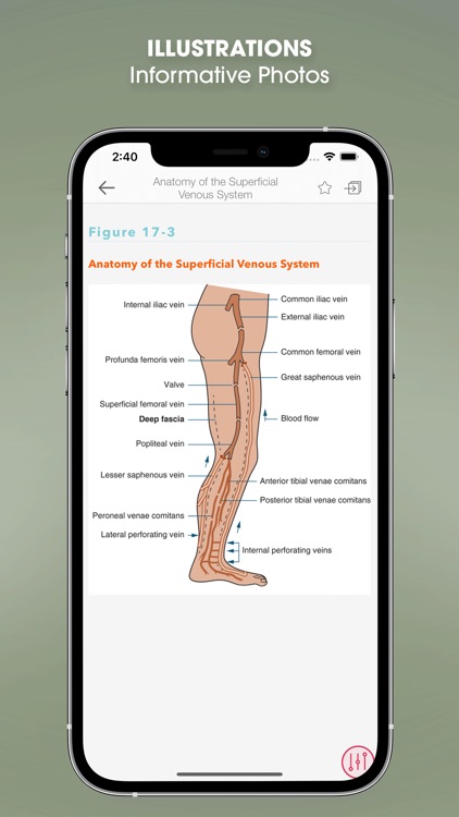 Symptom to Diagnosis EB Guide