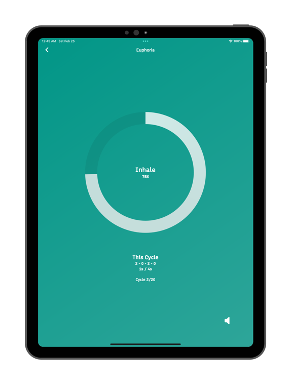 IslamicBrain: Elite Muslim App iPad screenshot 7 - Productivity app
