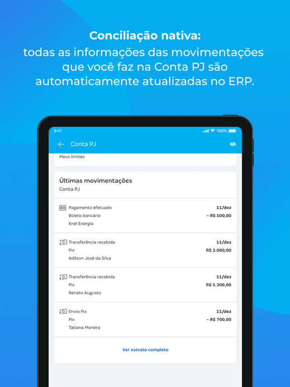 Conta Azul de Bolso iPad screenshot 4 - Business app