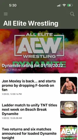 Game screenshot Wrestling-Online.com hack