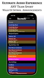 ballparkdj walkout intros iphone screenshot 1