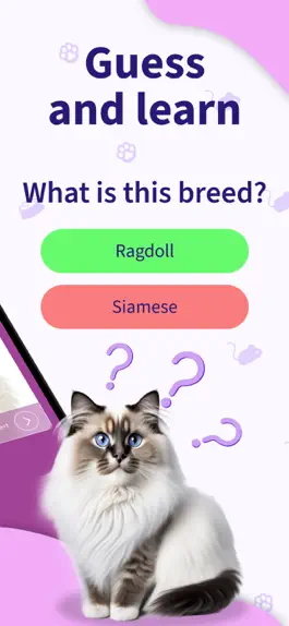 Game screenshot Cat Breed Games Dear My Kitten apk