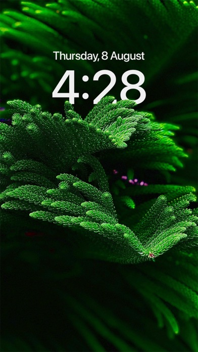 Nature HD Wallpaper - 4K Live Screenshot
