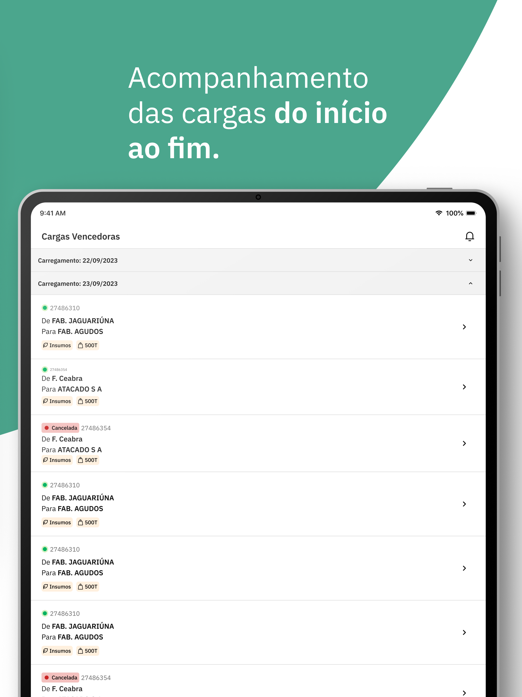 Smart Cargas Preview screenshot 8