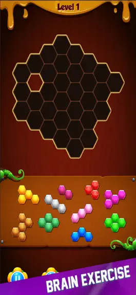 Game screenshot Hexa Puzzle - Blocks Game apk