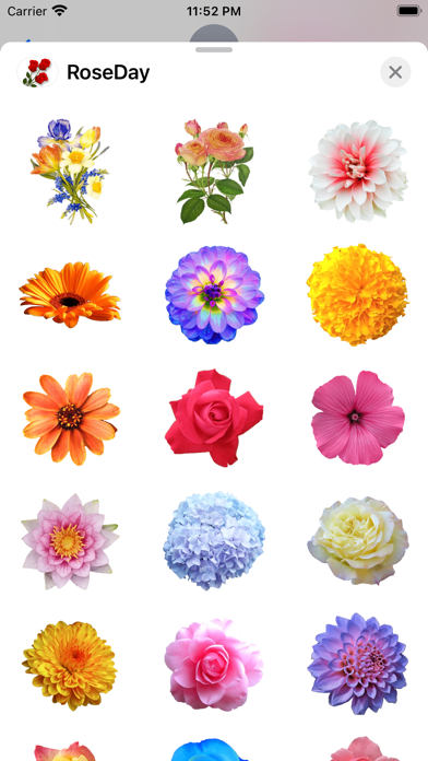 RoseDay Flower of Love Sticker Screenshot