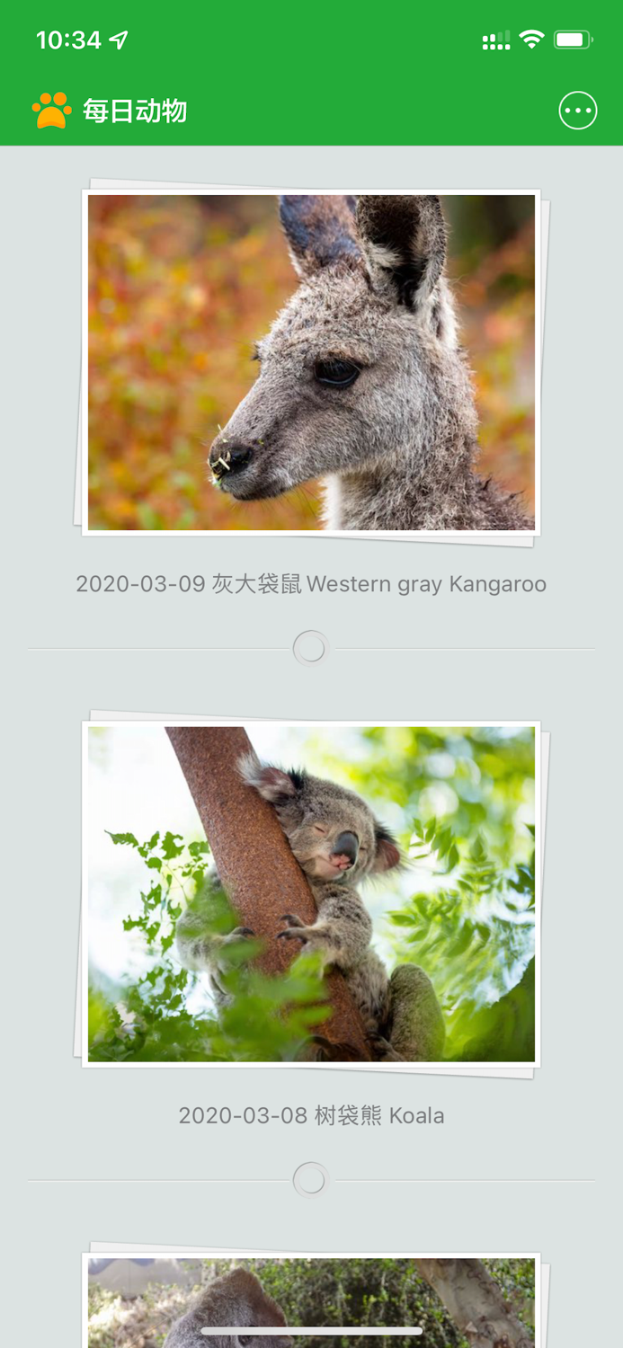 每日动物