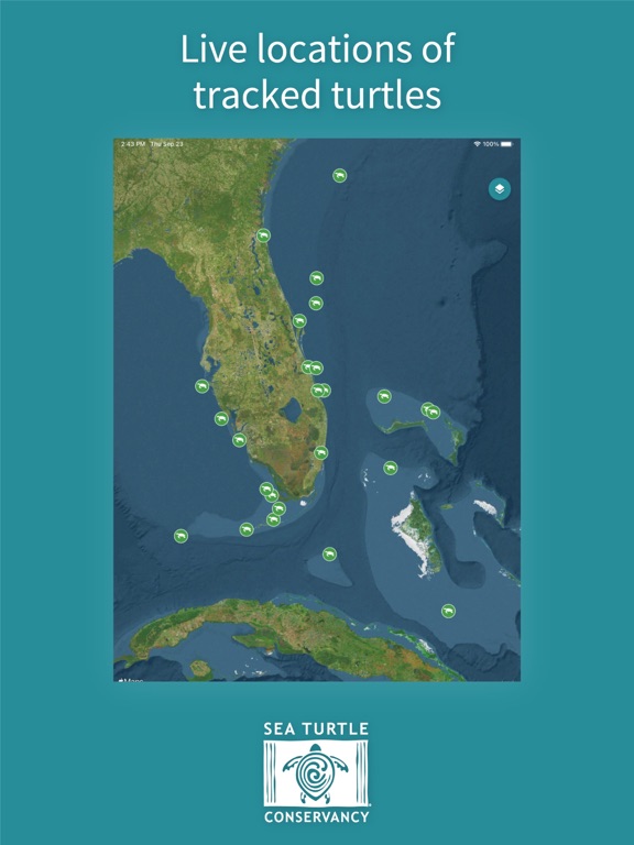 STC Turtle Tracker iPad screenshot 1 - Education app