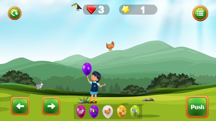 Bnamhai Balloon Animal Fly