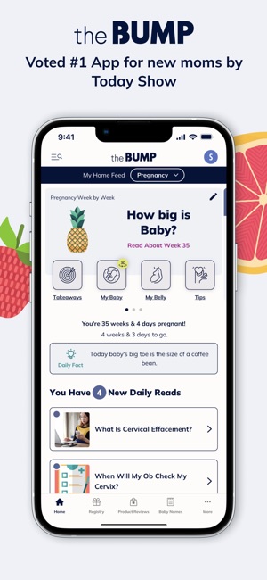 Pregnancy & Baby App: The Bump on the App Store