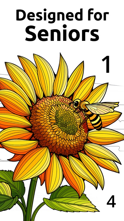 Vita Color for Seniors by Vita Studio