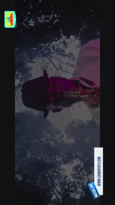 Sankofa TV Screenshot
