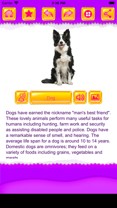 Animal Sounds and Photos Screenshot