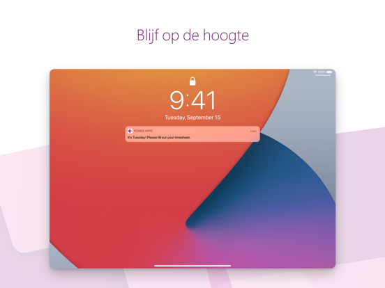 Power Apps iPad app afbeelding 6