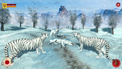 野生 雪 トラ サファリ 動物のおすすめ画像2