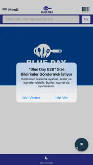 blueday mutfak b2b problems & solutions and troubleshooting guide - 3