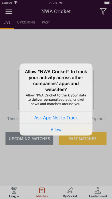 NWA Cricket Screenshot