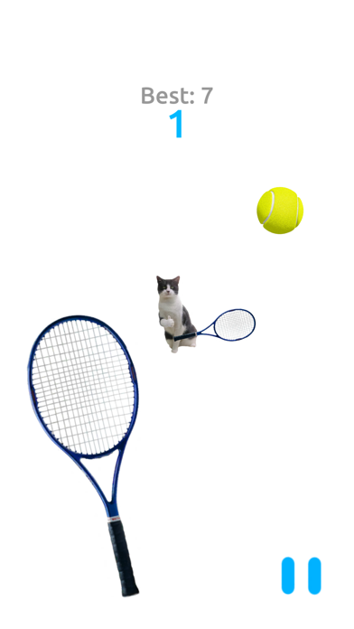 Cat Tennis Battle Screenshot