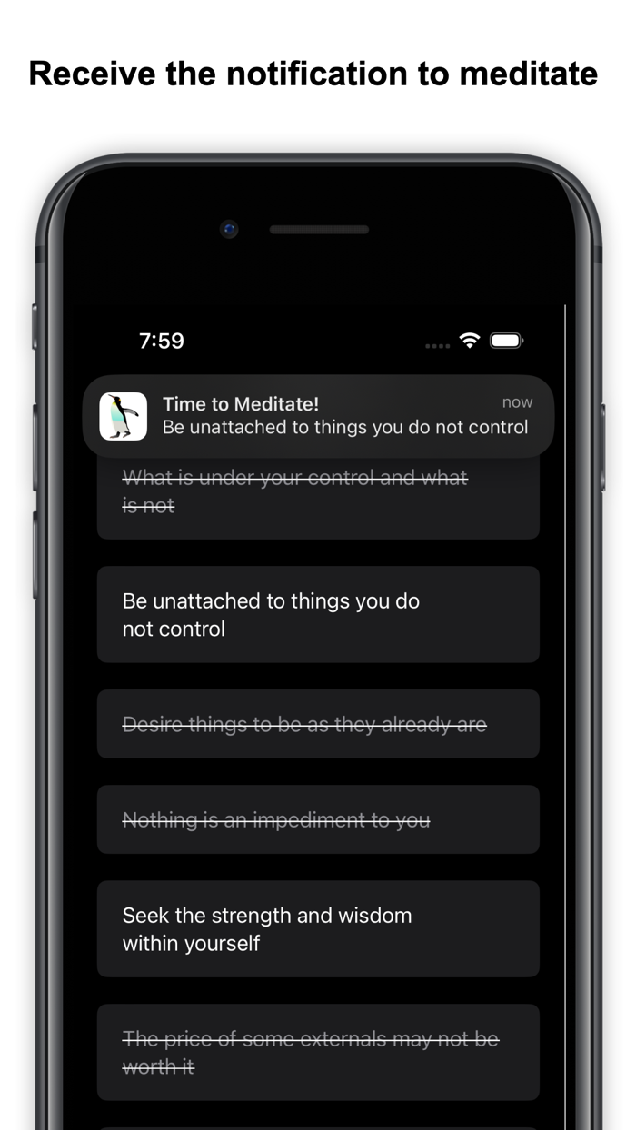 Marcus Jr. Meditations