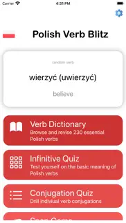 polish verb blitz problems & solutions and troubleshooting guide - 2