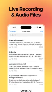 whisper transcribe - dictation iphone screenshot 3