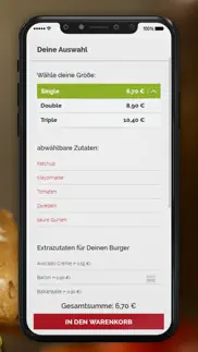 burgerfahrbrik problems & solutions and troubleshooting guide - 4