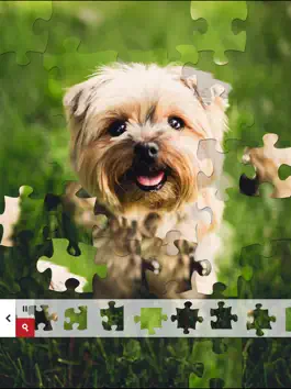Game screenshot Jigsaw Puzzle of the Day HD mod apk