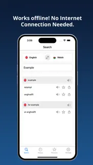 english welsh dictionary + iphone screenshot 4