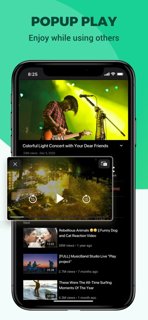 Pure Tuber it: Music Player on the App Store