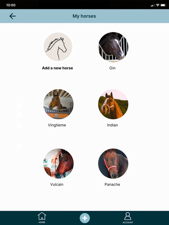 Screenshot #6 pour NOVOSTABLE